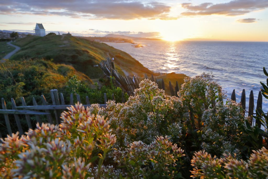 iStock 1048707434 iStock 1048707434