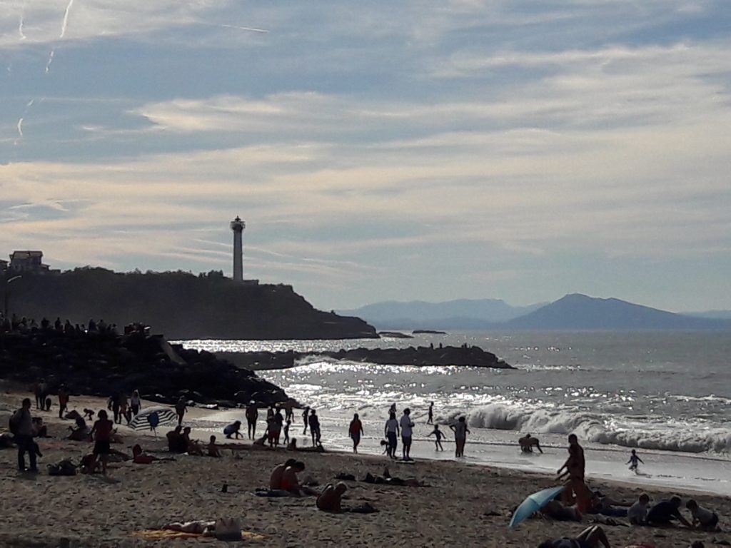 iStock 1206183782 iStock 1206183782