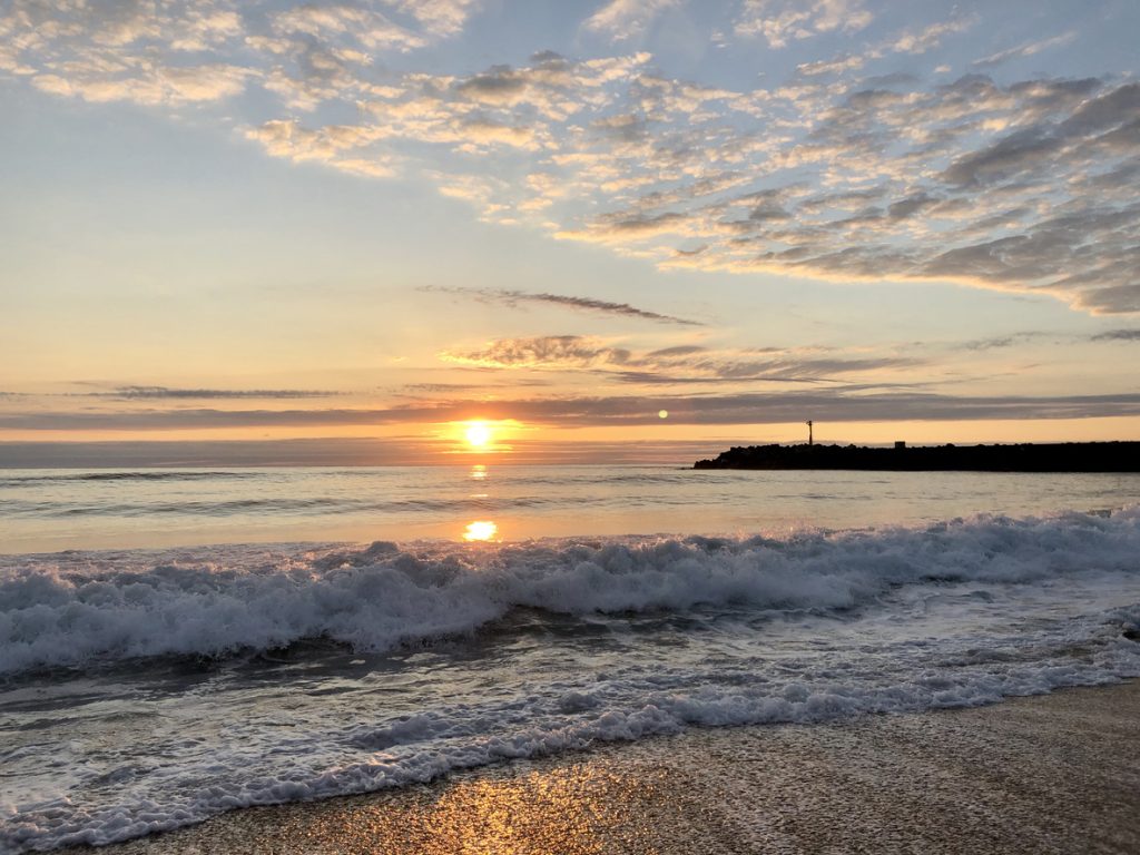 iStock 1256757548 iStock 1256757548